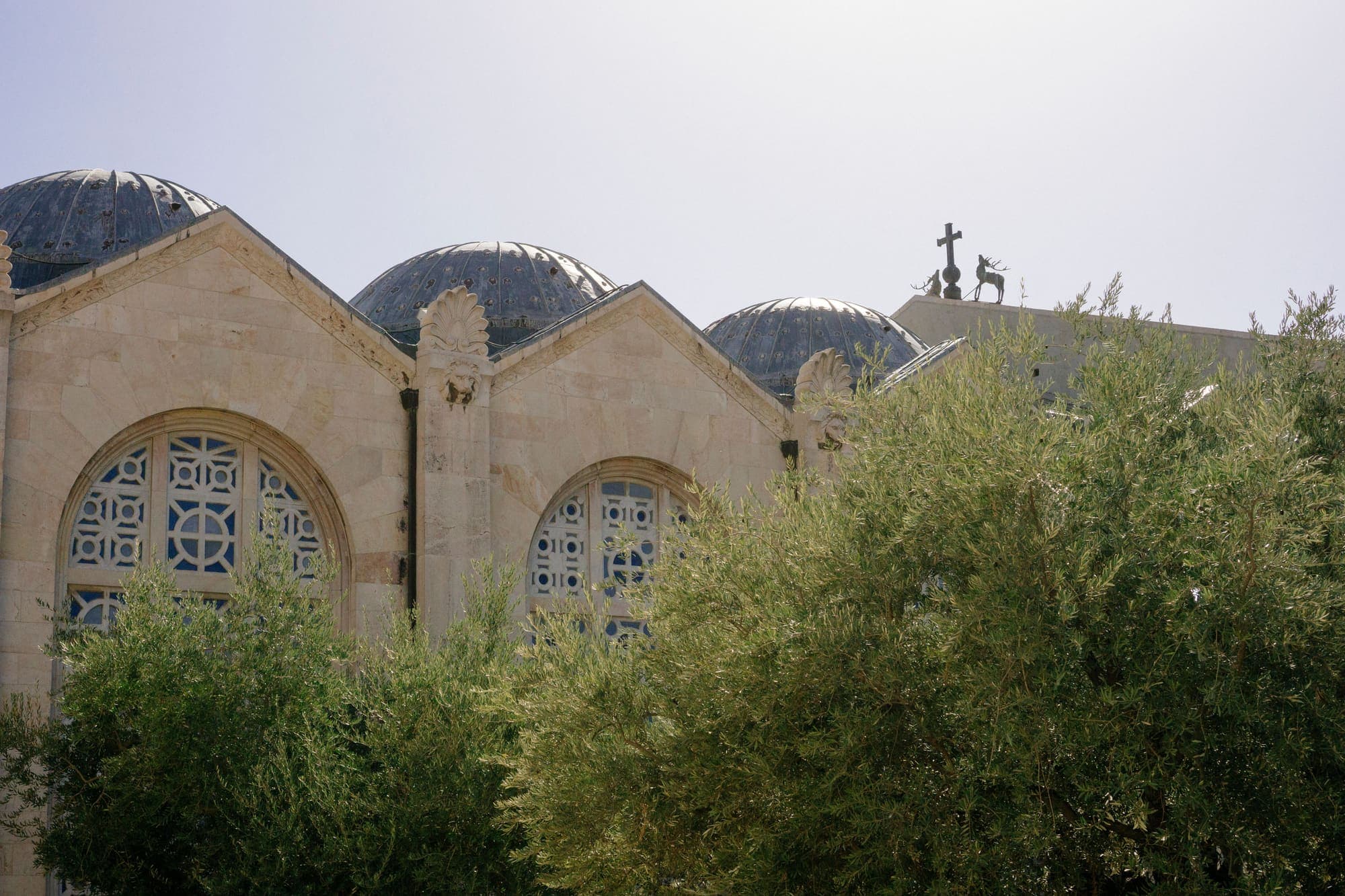 A Basílica da Agonia, ou Igreja de Todas as Nações, com suas cúpulas, atrás das oliveiras do Getsêmani.